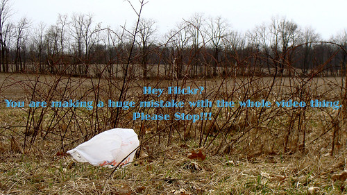 nature field trash garbage wide cybershot litter plasticbag 169 50views cybershotdsch3 pleasechoosepapernotplastic
