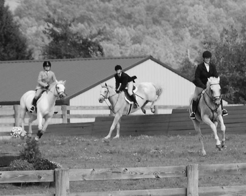 horses jumping ridinglessons equestrian centralpennsylvania huntertrials harvestviewstables