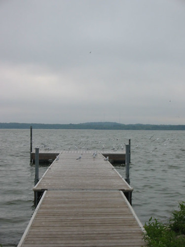 birds dock lakes vacations