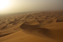 Dunas del desierto