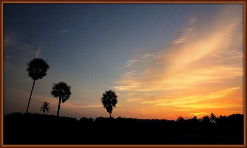 park sky clouds sunrise sundown florida palm evergladesnationalpark flamingocamping