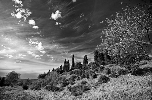 bw landscape nikon tuscany 2008 maremma sigma1020