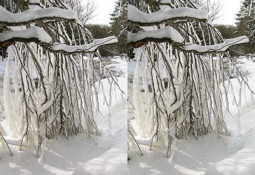 snow 3d crosseye branches stereo highfalls