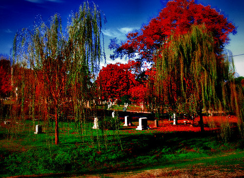 blue autumn trees red sky color tree green fall cemetery graveyard clouds landscape vivid headstones northcarolina raleigh historic willow burial oakwood weepingwillow tombstones primary weeping grounds bold intensity chrysti artlegacy