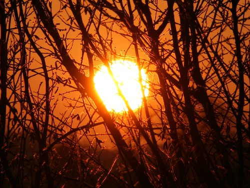 light sunset red sky 15fav orange sun france geotagged rouge fire soleil lumière ciel normandie nuages crépuscule normandy paysdauge calvados feu coucherdesoleil lisieux bassenormandie hermivallesvaux supershot hermival geo:lat=49168685 geo:lon=0267448 philoo