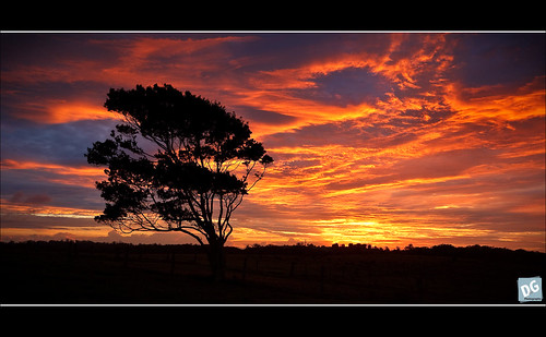 tree field sunrise canon fence landscape australia explore queensland frontpage canonef1740mmf4lusm mtmee 5dmkii