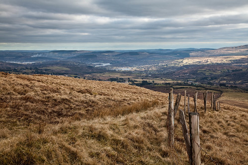 ireland field view cork valley
