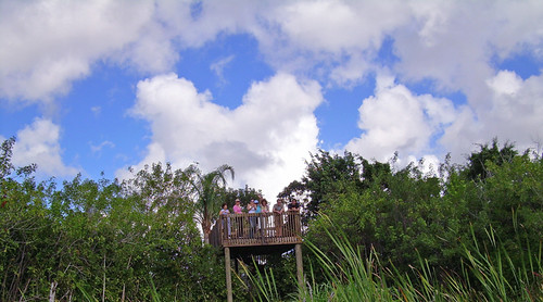 nature florida everglades alligatorfarm delawareonline