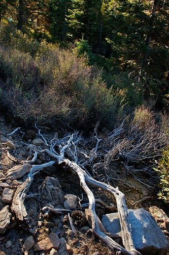 california usa abstract mountains outdoor hiking mtsangorgonio