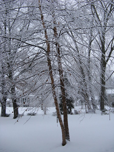 snow minnesota plymouth parentshouse winter0708