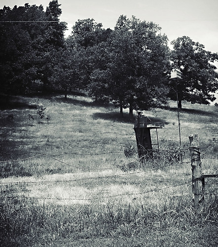 rural fence pasture