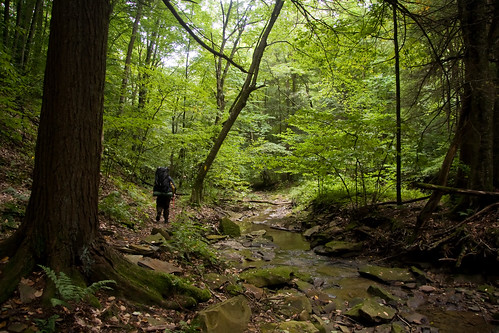 statepark camping trees hiking pennsylvania trail backpacking schellgames oilcreekstatepark gerardhikingtrail