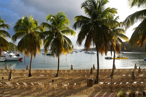 beach relax view stjohn palmtrees caribbean virginislands usvirginislands takeiteasy tonif tremendavista earthlyparadisetosomeiguess