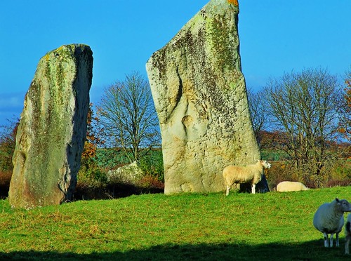 geotagged standingstones sheep avebury stonecircle colorphotoaward geo:lat=51429049 geo:lon=1853964
