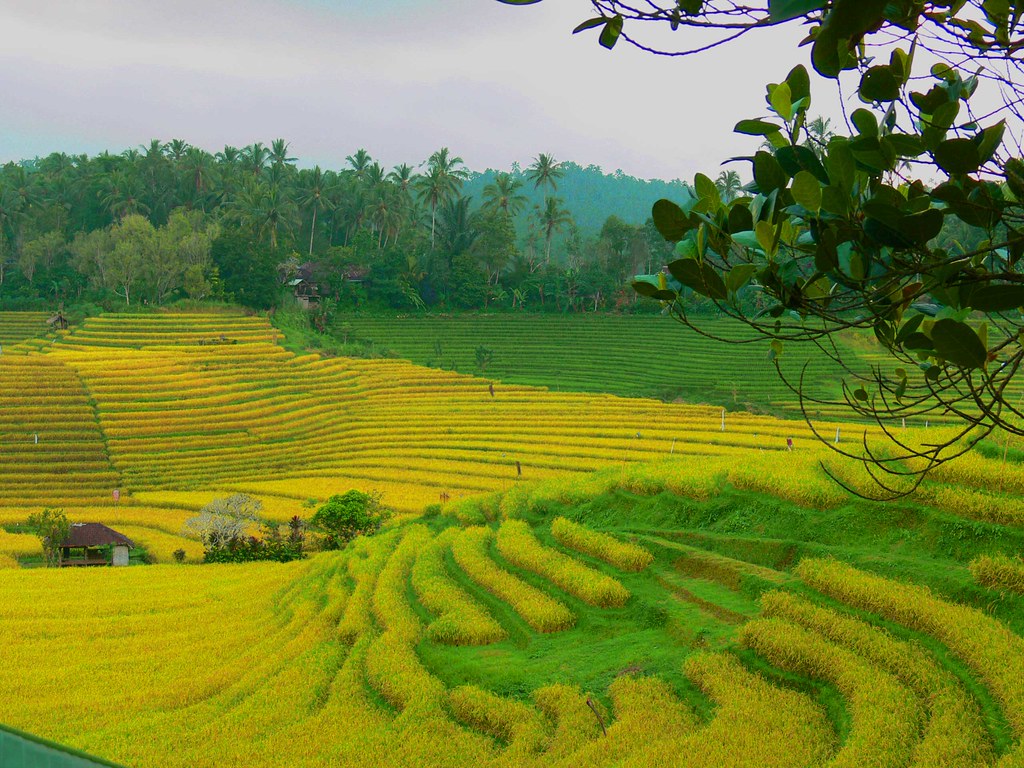 15 Restaurants In Bandung With Incredibly Breathtaking Views
