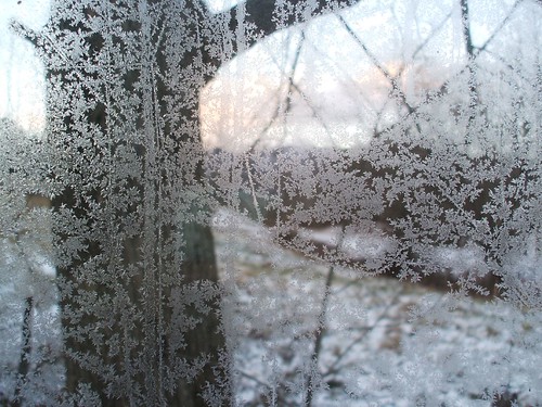 snow icecrystals hiawassee hogcreek