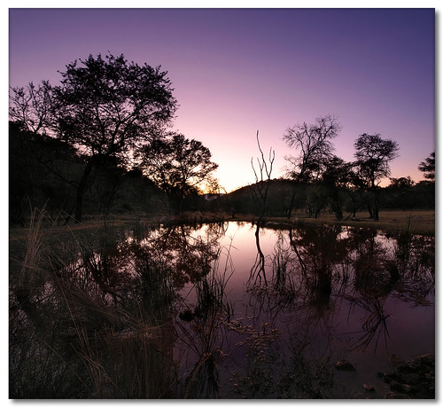 searchthebest predawn soe limpopo novideo supershot nohdr passionphotography shieldofexcellence vertorama waterberggamereserve