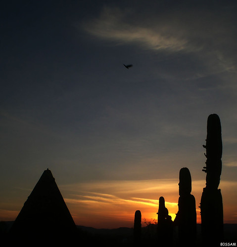 sunset cactus sky bird silhouette geotagged mexico interestingness interesting silo explore zacatecas guadalupe soe explored i500 shieldofexcellencegroup ltytr1 diamondclassphotographer
