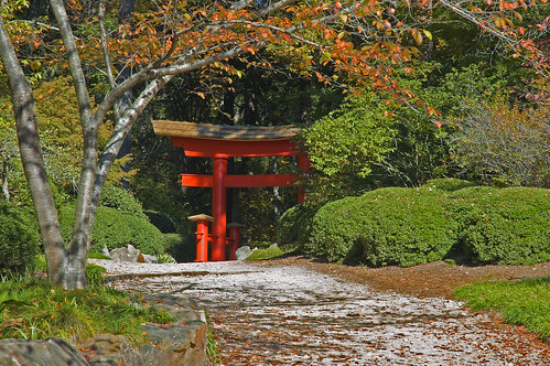 autumn garden japanese birmingham alabama botanicalgardens torii