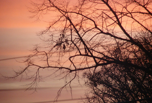 york trees winter sky clouds sunrises