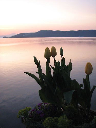 ferry sunrise sanjuanislands lopezisland