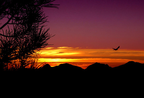 arizona sky mountains bird nature sunrise landscape outdoors flickrchallengegroup flickrchallengewinner anotherchallengegroup acg1stplacewinner
