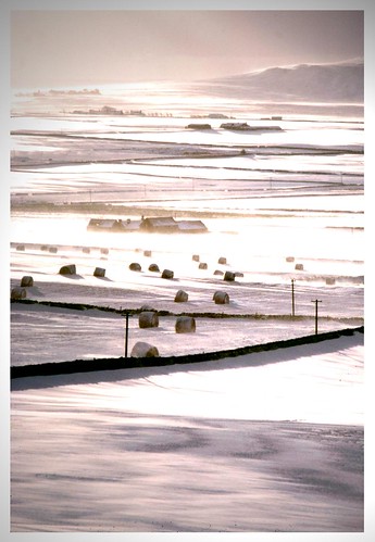 travel winter snow cold ice sunshine scotland britain farm north snowstorm scottish arctic snowfield polar bales whiteout innes drift caithness thurso farmyard pentlandpirate northcalder