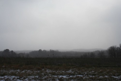 road field minnesota haze woods scenery cloudy snowy foggy lincoln mn pulaski cushing