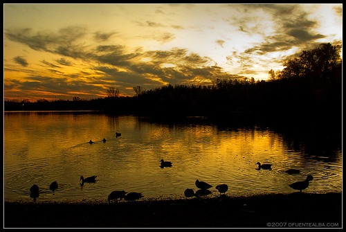 autumn sunset sun lake canada nature water québec