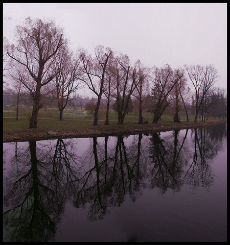 sky reflection tree nature water wisconsin oakisland passionphotography