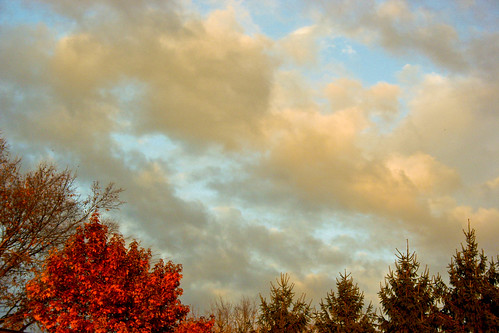 autumn trees sky clouds landscape indiana