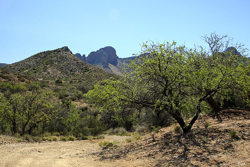 arizona az helvetia santaritamountains gunsightpass arizonapassages