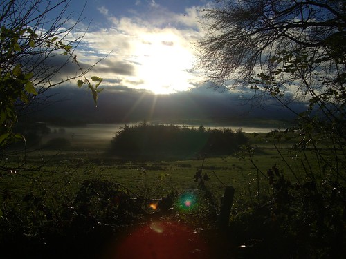 wood morning mist wales sunrise countryside ceredigion tregaronbog