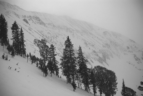 trees white snow black snowboarding nikon montana skiing basin moonlight d200 headwaters tacoma87 tacoma87x