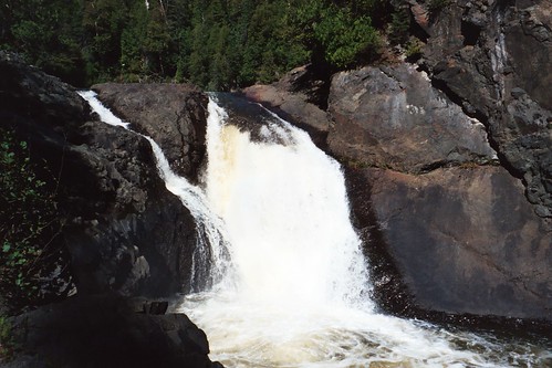 silver river falls magpie