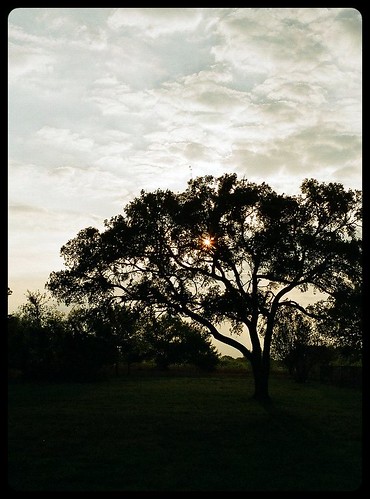 ranch sun weather clouds rural picnic skies texas farm tx central oaktree buda canoneosrebelk2 canoneosrebelk2slr hdqh unature meredithwoodwenranch