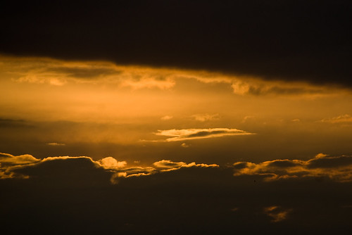 vienna wien morning nature sunrise austria sonnenaufgang morgen danube altedonau donaupark flickrsbest