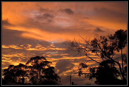 blue sunset orange cloud tree grey pentax ds ist digitalcameraclub auselite