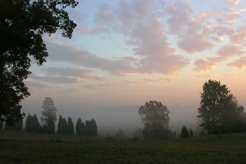 morning wallpaper mist sunrise northcarolina