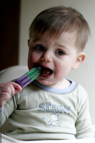 teething on a popsicle    MG 0987