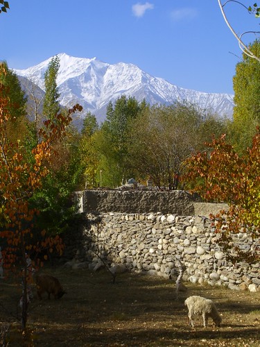 autumn trees mountains colors tajikistan centralasia dpn pamirs langar badakhshan wakhanvalley
