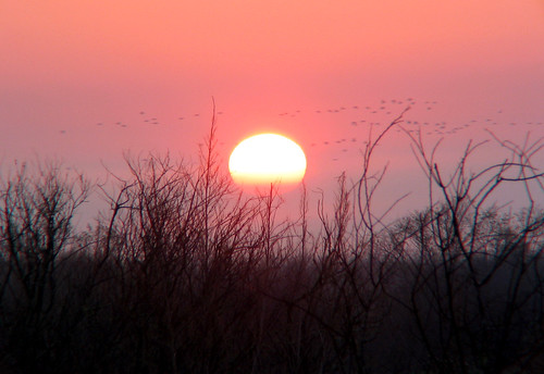 morning red sky sun sunrise florida gainesville fl paynesprairie highway441 us441