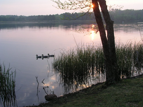 statepark sunset usa lake duck texas tx unitedstatesofamerica tyler 2008