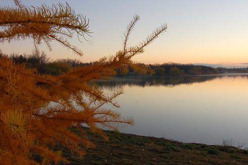autumn lake sunrise regina saskatchewan wascanapark larchtree
