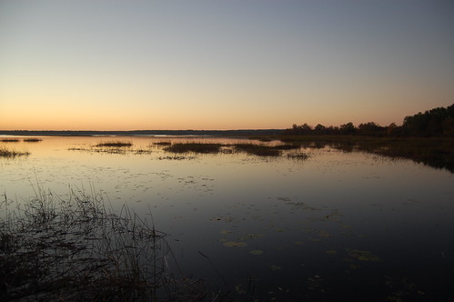 sunrise greatswamp wordenspond