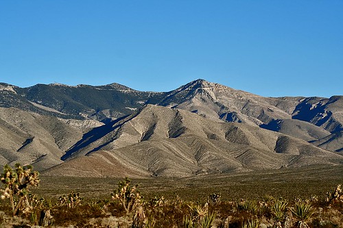 cactus sky mountains landscape geotagged desert nevada geo:lat=35951326 geo:lon=115651102