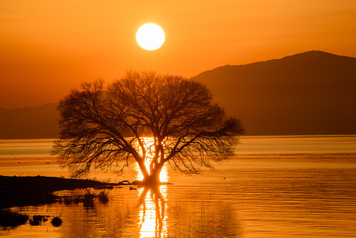 japan 琵琶湖 湖 lake 夕景 sunset 滋賀県 米原市