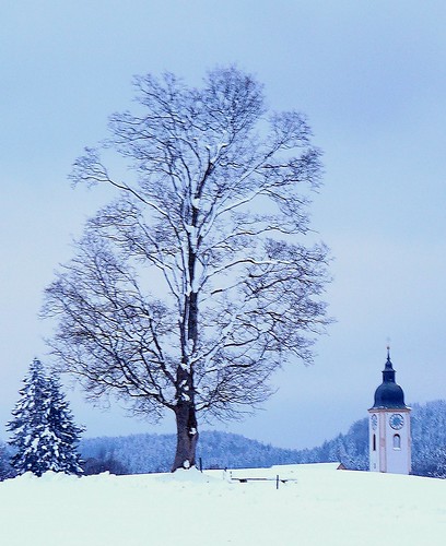 schnee snow tree abbey geotagged bavaria baum dietramszell claudemunich geo:lon=11590362 klosterdietramszell geo:lat=478498