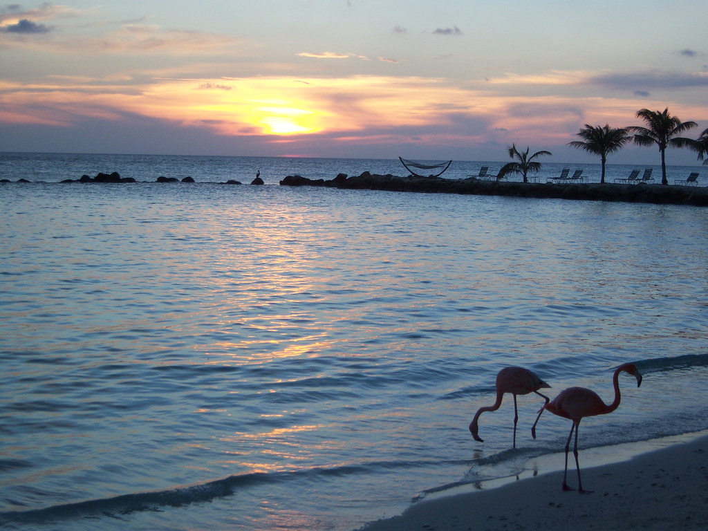 sunset on flamingo beach