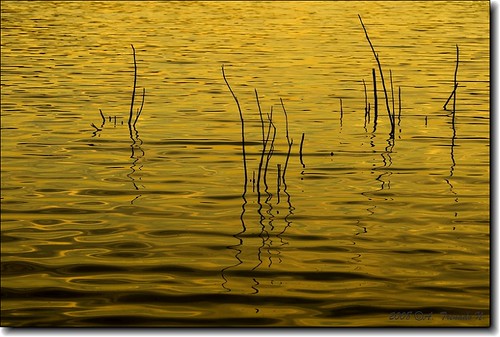 color luz water landscape agua minimalist juntos reflejos dorado brillos canon30d ltytr1 thegoldproject
